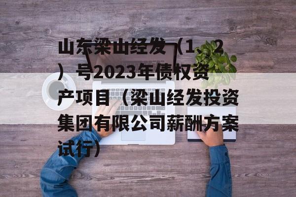 山东梁山经发（1、2）号2023年债权资产项目（梁山经发投资集团有限公司薪酬方案试行）