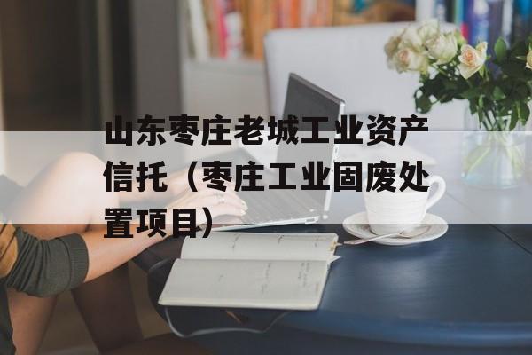 山东枣庄老城工业资产信托（枣庄工业固废处置项目）