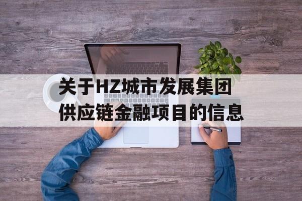 关于HZ城市发展集团供应链金融项目的信息