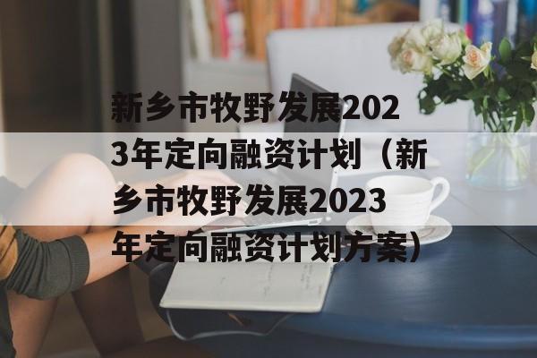 新乡市牧野发展2023年定向融资计划（新乡市牧野发展2023年定向融资计划方案）