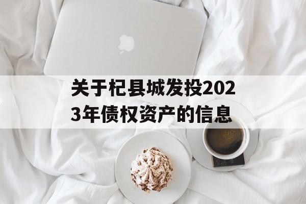 关于杞县城发投2023年债权资产的信息