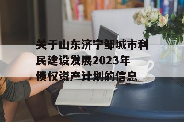 关于山东济宁邹城市利民建设发展2023年债权资产计划的信息