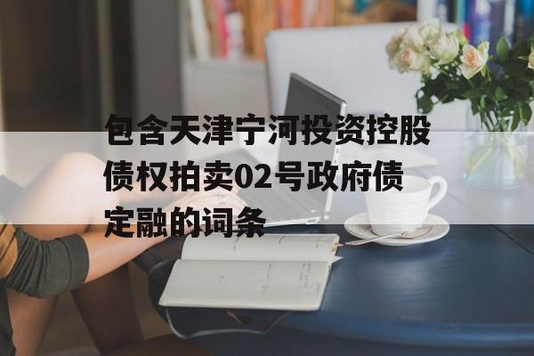 包含天津宁河投资控股债权拍卖02号政府债定融的词条