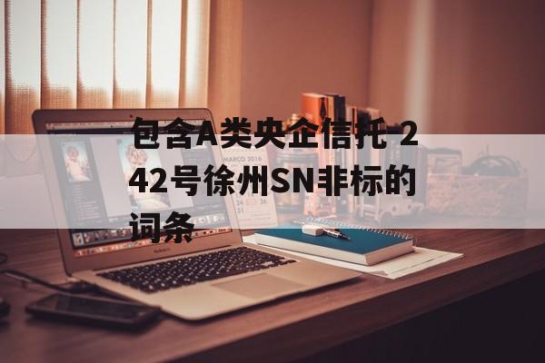 包含A类央企信托-242号徐州SN非标的词条