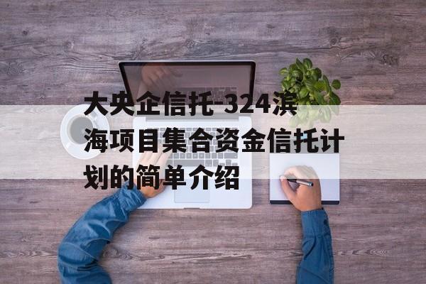 大央企信托-324滨海项目集合资金信托计划的简单介绍