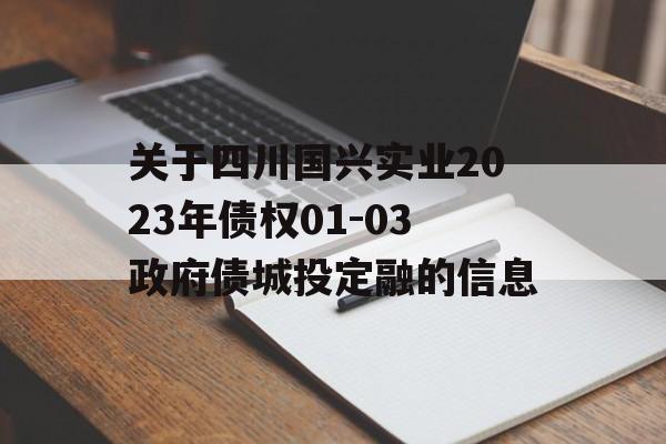 关于四川国兴实业2023年债权01-03政府债城投定融的信息