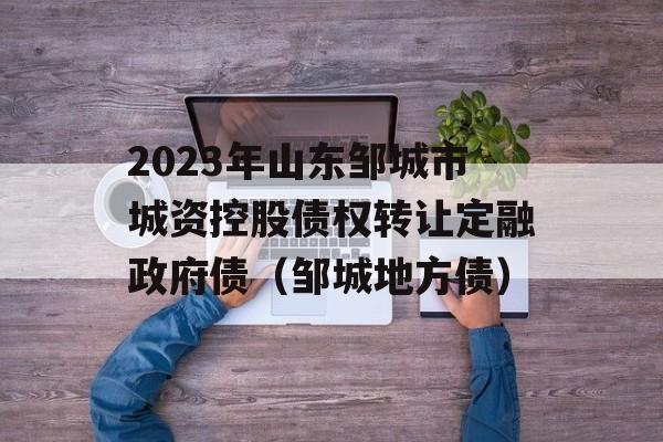 2023年山东邹城市城资控股债权转让定融政府债（邹城地方债）