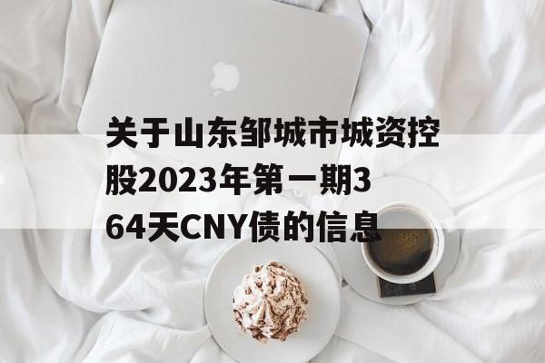 关于山东邹城市城资控股2023年第一期364天CNY债的信息