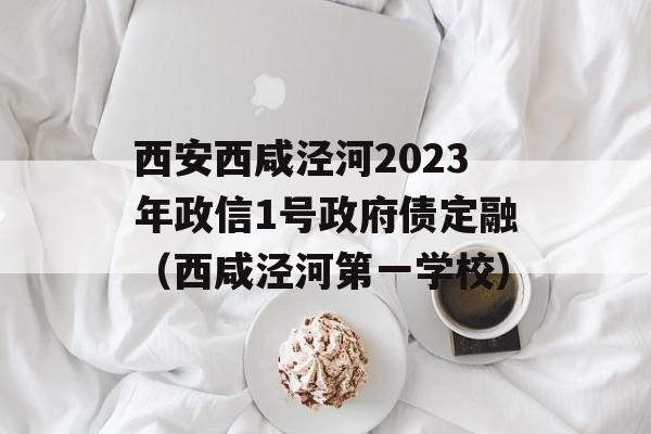 西安西咸泾河2023年政信1号政府债定融（西咸泾河第一学校）