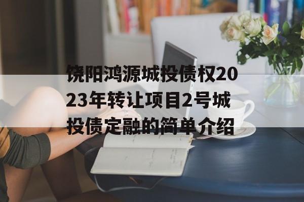 饶阳鸿源城投债权2023年转让项目2号城投债定融的简单介绍