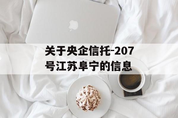 关于央企信托-207号江苏阜宁的信息