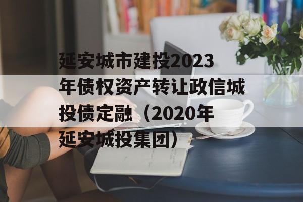 延安城市建投2023年债权资产转让政信城投债定融（2020年延安城投集团）