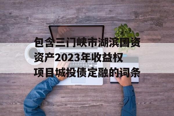 包含三门峡市湖滨国资资产2023年收益权项目城投债定融的词条