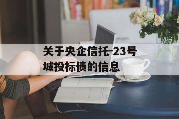 关于央企信托-23号城投标债的信息