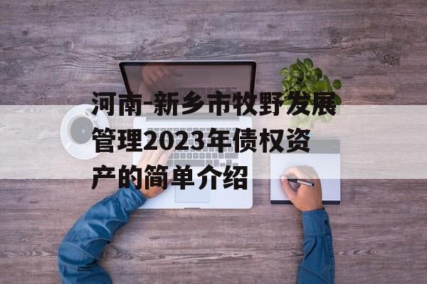 河南-新乡市牧野发展管理2023年债权资产的简单介绍