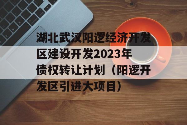 湖北武汉阳逻经济开发区建设开发2023年债权转让计划（阳逻开发区引进大项目）