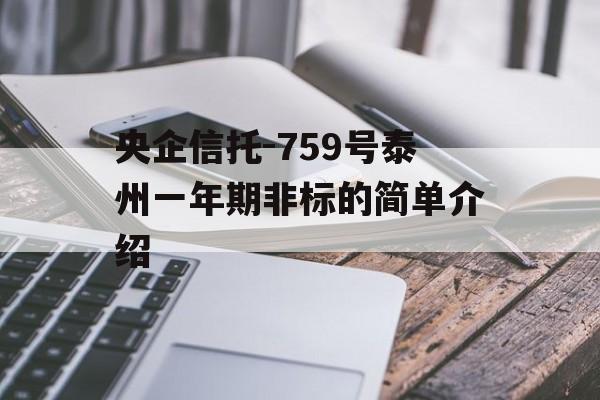 央企信托-759号泰州一年期非标的简单介绍