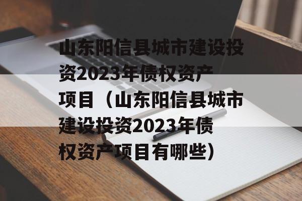 山东阳信县城市建设投资2023年债权资产项目（山东阳信县城市建设投资2023年债权资产项目有哪些）