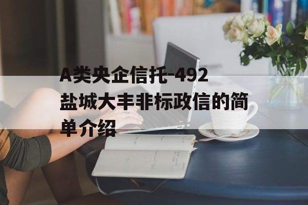 A类央企信托-492盐城大丰非标政信的简单介绍