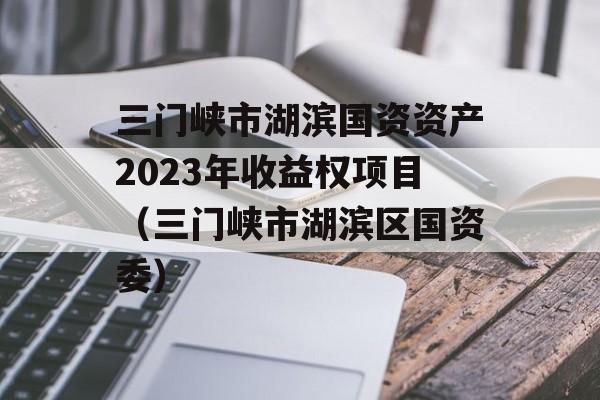 三门峡市湖滨国资资产2023年收益权项目（三门峡市湖滨区国资委）