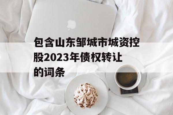 包含山东邹城市城资控股2023年债权转让的词条