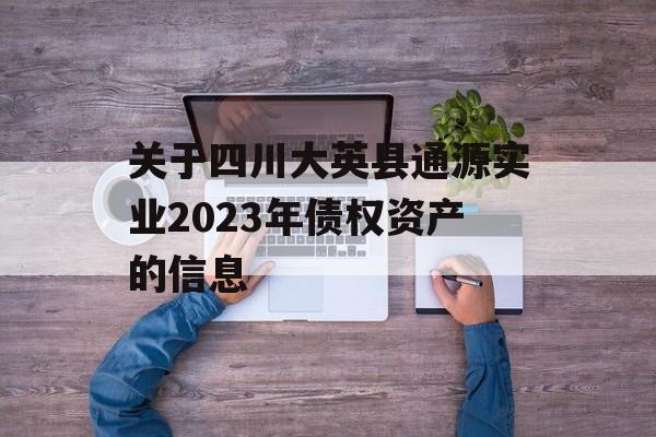 关于四川大英县通源实业2023年债权资产的信息