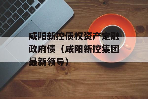 咸阳新控债权资产定融政府债（咸阳新控集团最新领导）