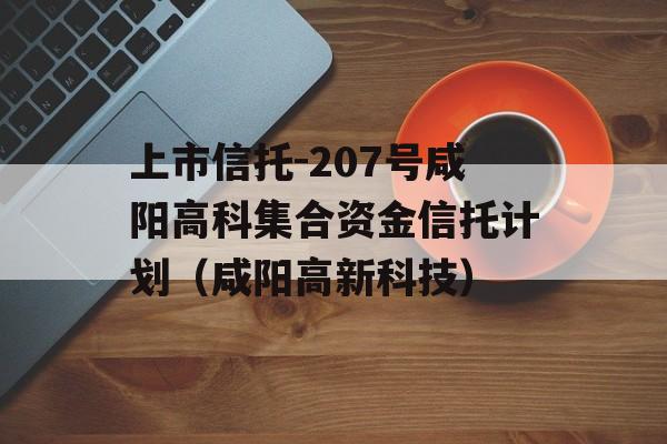 上市信托-207号咸阳高科集合资金信托计划（咸阳高新科技）