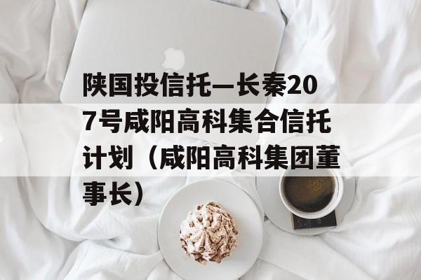 陕国投信托—长秦207号咸阳高科集合信托计划（咸阳高科集团董事长）