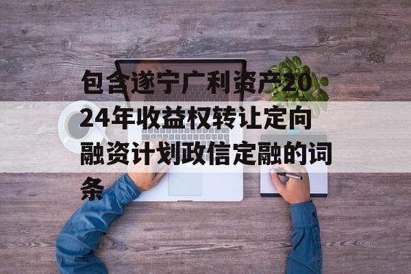 包含遂宁广利资产2024年收益权转让定向融资计划政信定融的词条