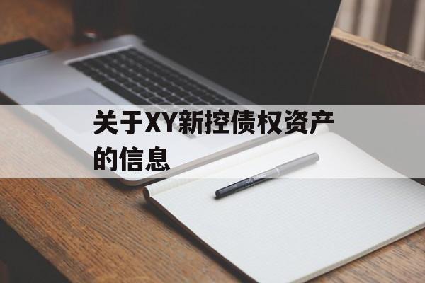 关于XY新控债权资产的信息