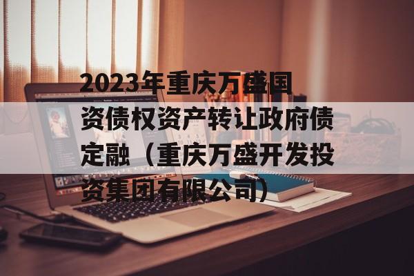 2023年重庆万盛国资债权资产转让政府债定融（重庆万盛开发投资集团有限公司）