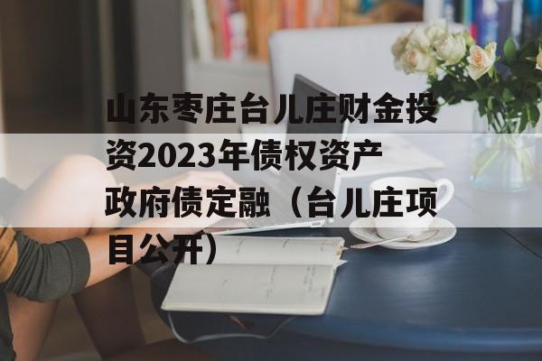 山东枣庄台儿庄财金投资2023年债权资产政府债定融（台儿庄项目公开）