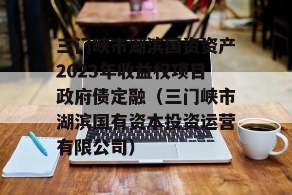 三门峡市湖滨国资资产2023年收益权项目政府债定融（三门峡市湖滨国有资本投资运营有限公司）