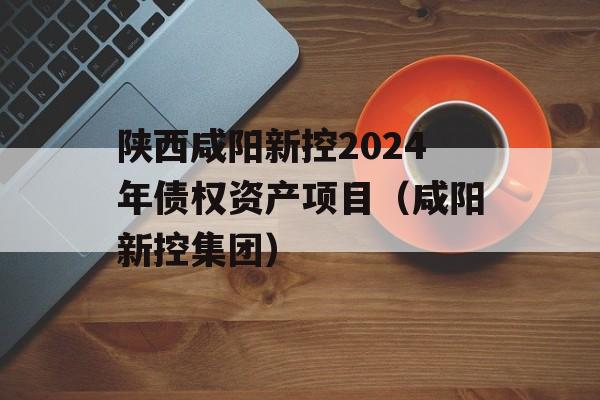 陕西咸阳新控2024年债权资产项目（咸阳新控集团）