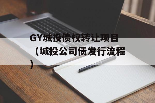 GY城投债权转让项目（城投公司债发行流程）