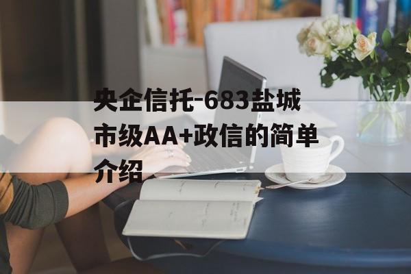 央企信托-683盐城市级AA+政信的简单介绍