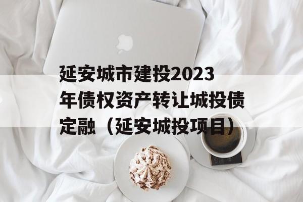 延安城市建投2023年债权资产转让城投债定融（延安城投项目）