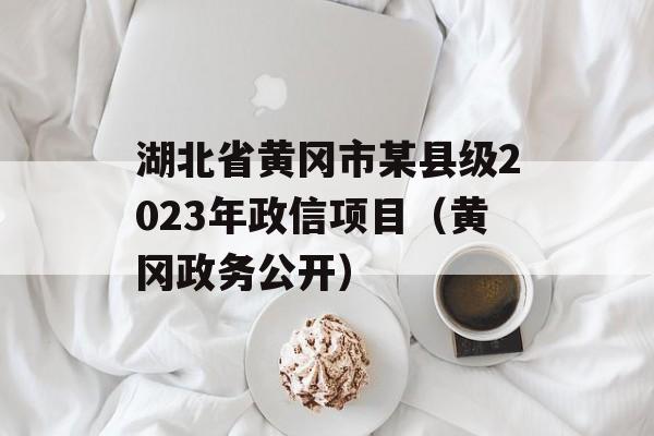 湖北省黄冈市某县级2023年政信项目（黄冈政务公开）