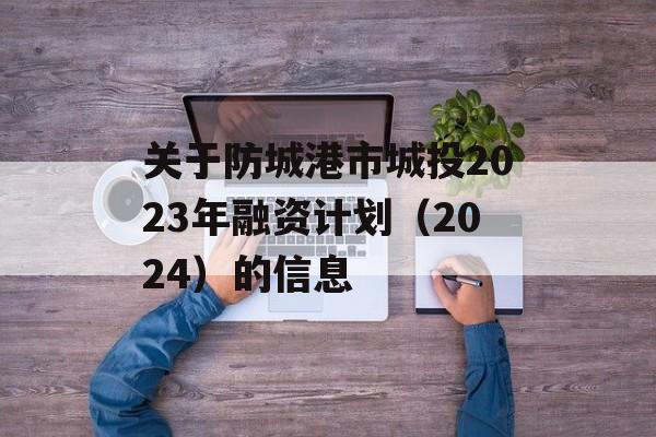 关于防城港市城投2023年融资计划（2024）的信息