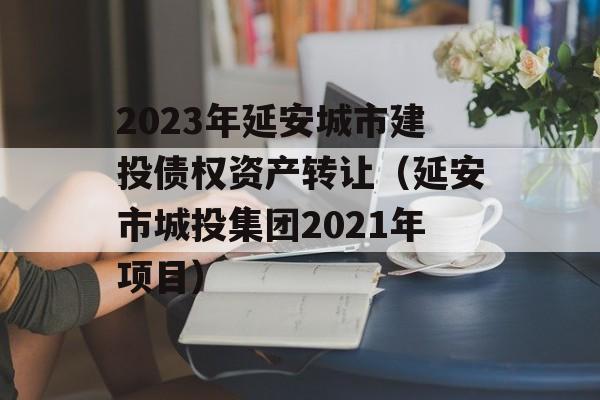 2023年延安城市建投债权资产转让（延安市城投集团2021年项目）