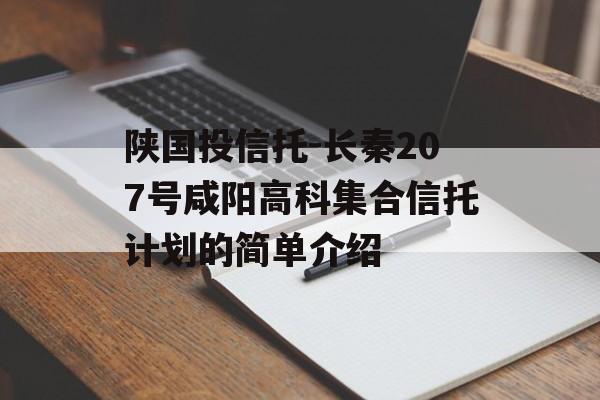 陕国投信托-长秦207号咸阳高科集合信托计划的简单介绍