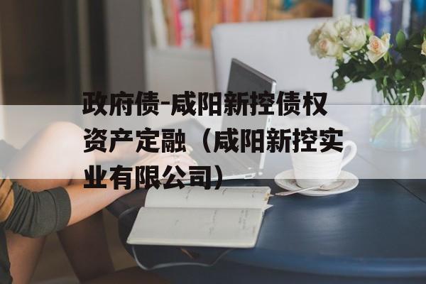 政府债-咸阳新控债权资产定融（咸阳新控实业有限公司）