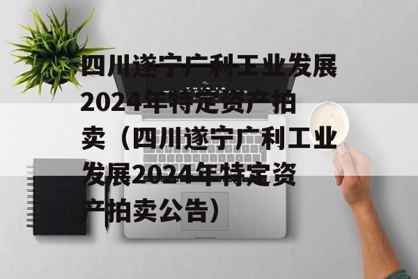 四川遂宁广利工业发展2024年特定资产拍卖（四川遂宁广利工业发展2024年特定资产拍卖公告）