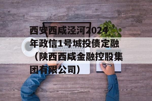 西安西咸泾河2024年政信1号城投债定融（陕西西咸金融控股集团有限公司）