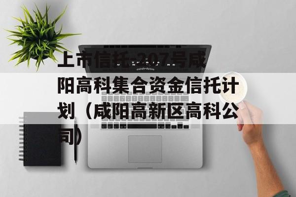 上市信托-207号咸阳高科集合资金信托计划（咸阳高新区高科公司）