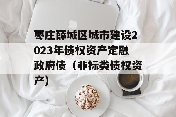 枣庄薛城区城市建设2023年债权资产定融政府债（非标类债权资产）