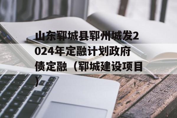 山东郓城县郓州城发2024年定融计划政府债定融（郓城建设项目）