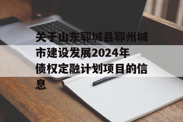 关于山东郓城县郓州城市建设发展2024年债权定融计划项目的信息