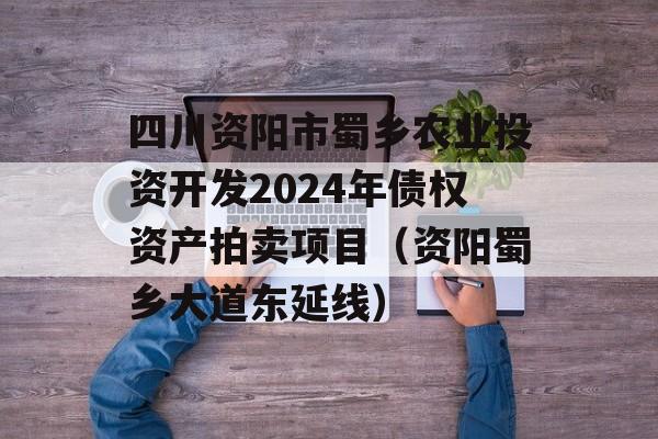 四川资阳市蜀乡农业投资开发2024年债权资产拍卖项目（资阳蜀乡大道东延线）